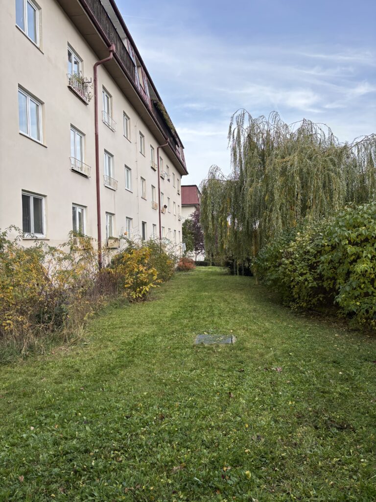 img 0763